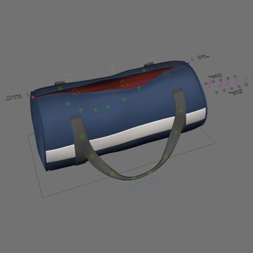 Sport Bag Rigged preview image